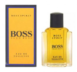 Hugo Boss Spirit