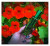 Jo Malone Nasturtium & Clover, 4