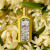 Gucci Flora Gorgeous Orchid, 4