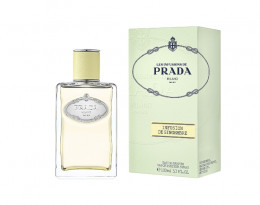 Prada Infusion De Gingembre