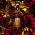 Guerlain Absolus Allegoria Rose Amira, 2