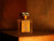 Roja Dove Sweetie Aoud, 3