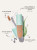 Консилер для лица Tarte Cosmetics Sea Power Flex Full Coverage Vegan Concealer, 1