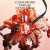 Viktor & Rolf Flowerbomb Tiger Lily, 5