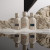 Amouage Outlands, 4