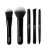 Набор кистей для макияжа Kiko Milano Travel Kit, 2