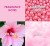 Britney Spears Candied Fantasy, 3