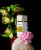 Gritti Eclectique, 4