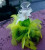 Nina Ricci L`Air Du Temps Couture Edition, 2