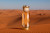 Lattafa Perfumes Teriaq, 3