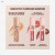 Блеск-плампер для губ Charlotte Tilbury Big Lip Plumpgasm Plumping Lip Gloss, 6