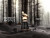 Fragrance World French Avenue Fierte, 2