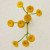 Chloe Atelier Des Fleurs Immortelle, 5