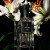 Yves Saint Laurent Capeline Alluring Lily, 2
