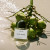 Byredo Alto Astral, 3