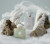 Amouage Decision, 2