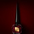 Christian Louboutin Fetiche La Rose, 2