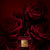 Christian Louboutin Fetiche La Rose, 5