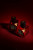 Vertus Rouge Rebel, 2