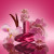 Calvin Klein Euphoria Magnetic Elixir, 3