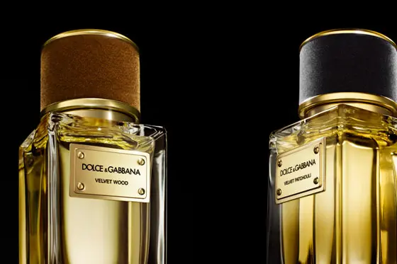 dolce and gabbana private collection
